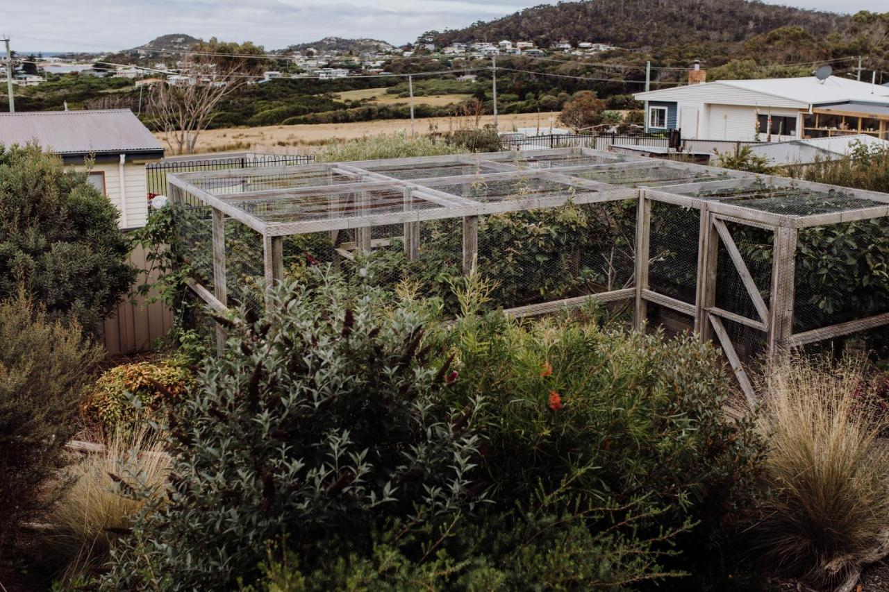 Bicheno Gardens Villa Exterior photo
